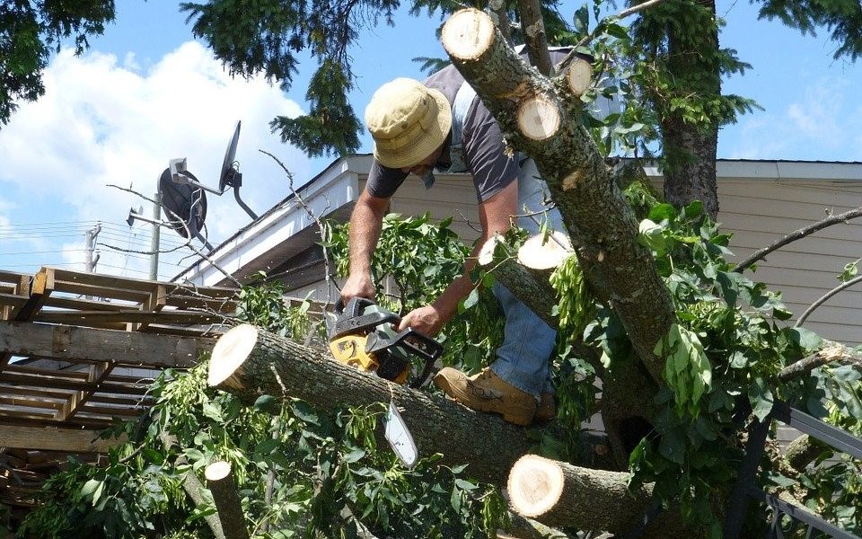 Hurricane Season Storm Prep Tips for 2020