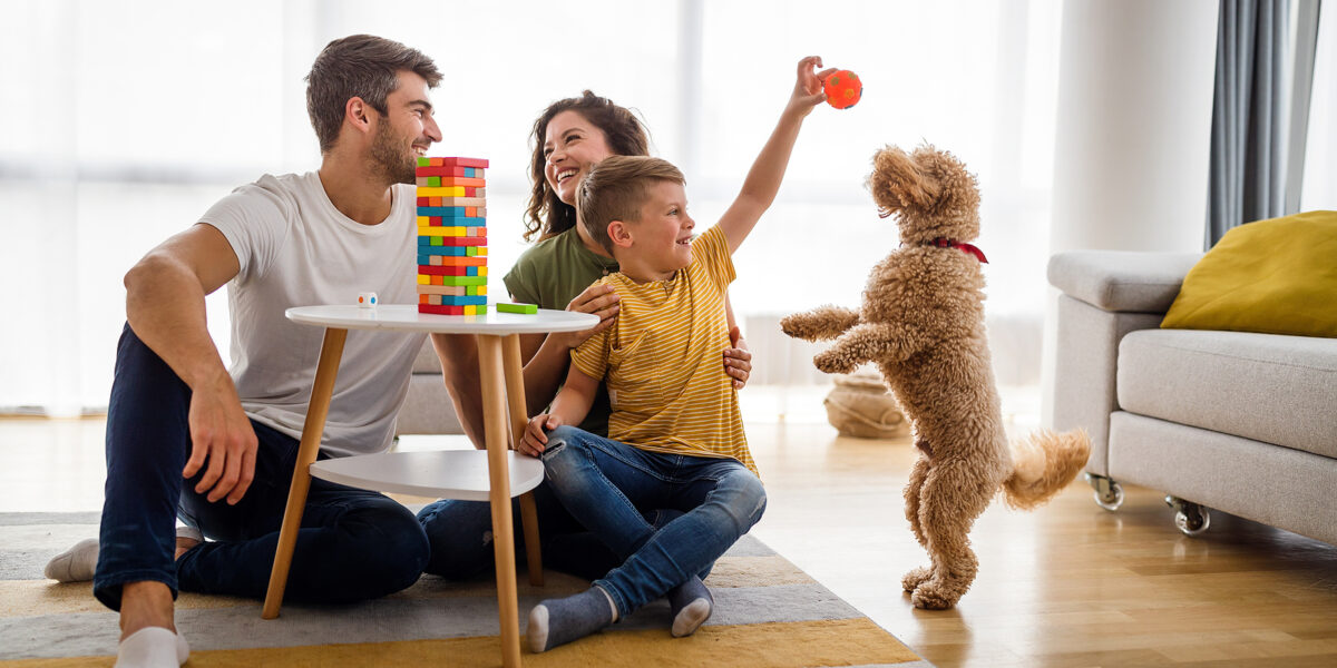 Can Pets Help During a Pandemic?