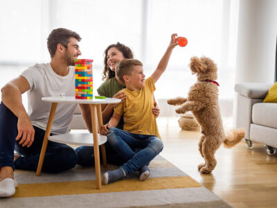 Can Pets Help During a Pandemic?