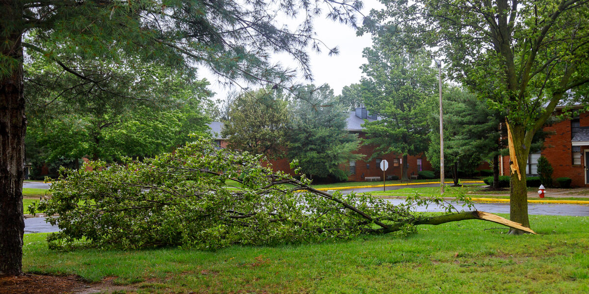 Hurricane Season is Coming – Here’s What You Should Do