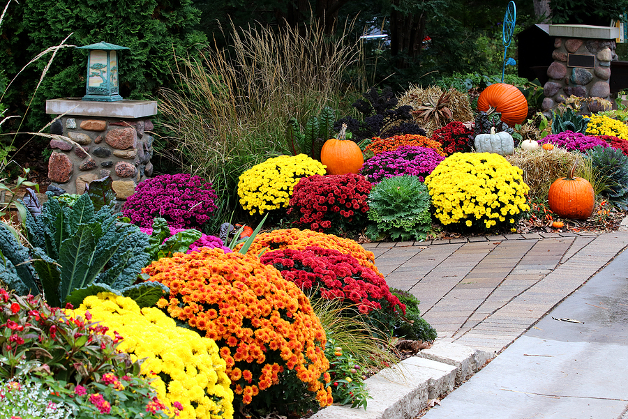 Prepare Your Connecticut Home for Fall