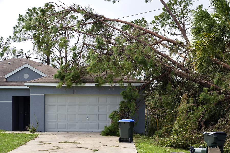 Storm Preparedness: Protecting Your Connecticut Property