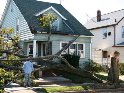 Does Homeowners Insurance Cover Fallen Trees in Connecticut?